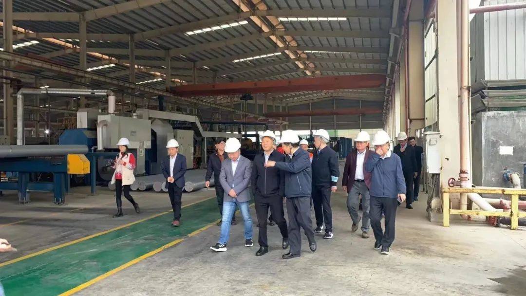 中国有色金属加工工业协会调研组莅临彩虹铝业调研指导