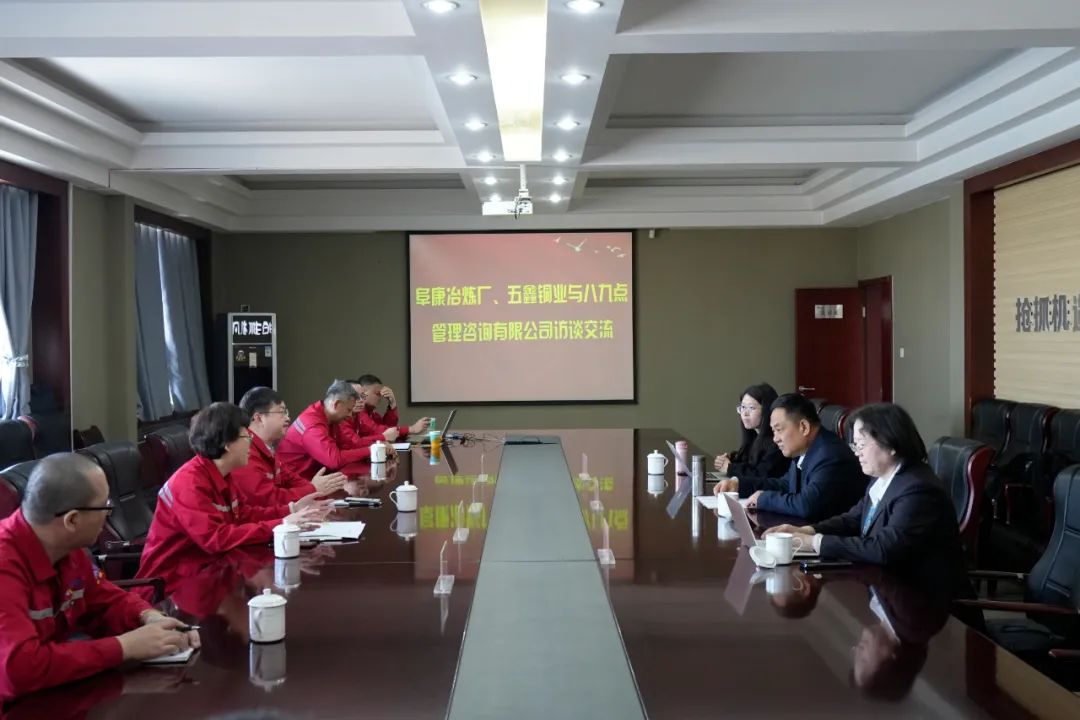 五鑫铜业 阜康冶炼厂与北京八九点管理咨询有限公司开展访谈交流