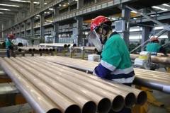 金川集團：放大“鏈主”優勢 構建新能源新材料產業集羣