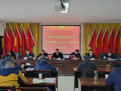 里伍铜业公司党委组织召开安全环保专题会议暨2023年度安（环）委第一次扩大会议