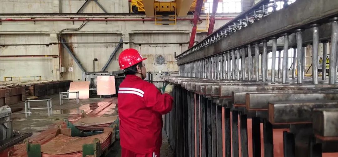 新疆五鑫銅業有限責任公司電解廠強化精細化管理確保陰極銅達標