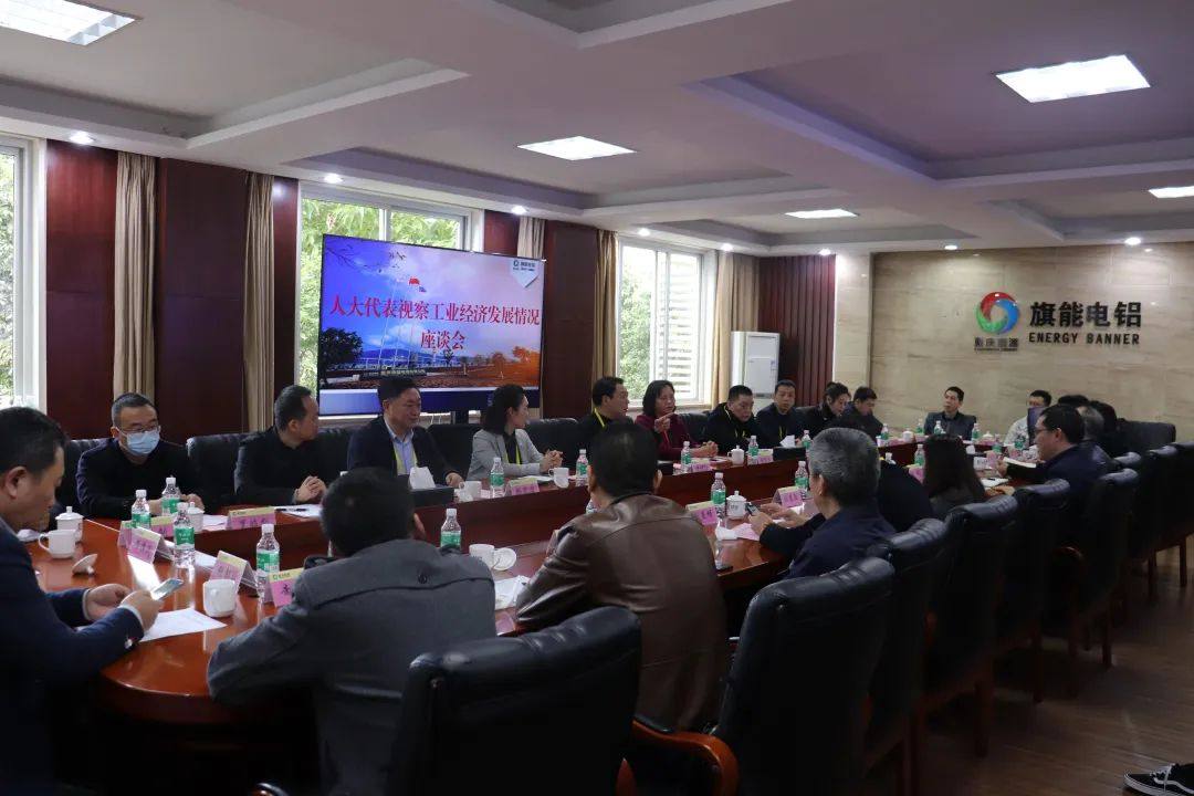 綦江區人大代表視察工業經濟發展情況座談會在旗能電鋁召開