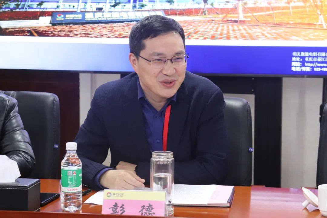 綦江區人大代表視察工業經濟發展情況座談會在旗能電鋁召開