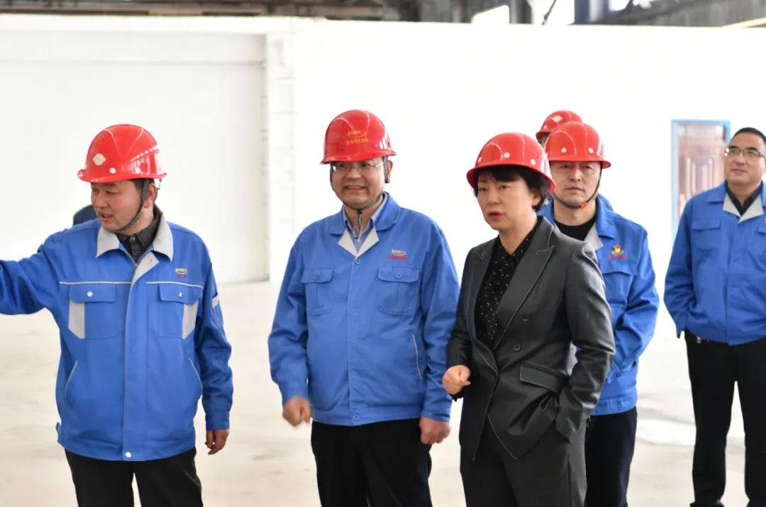 张延保到白银集团西铜公司调研