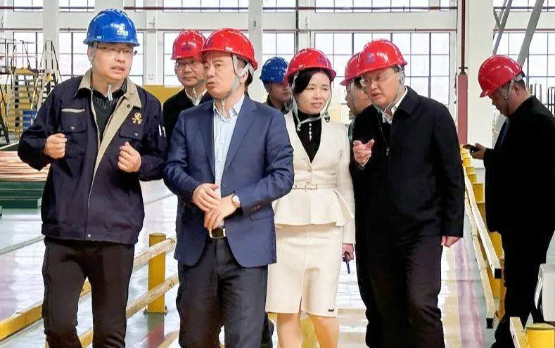 江西省副省长夏文勇莅临力博集团江西厂区调研