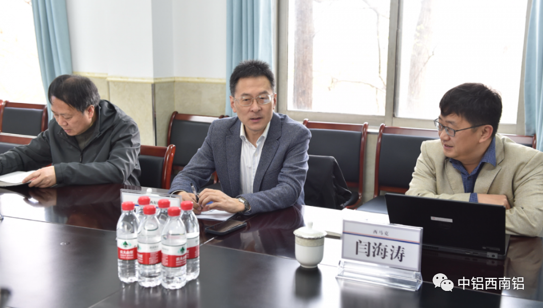 中铝西南铝杨璐会见西马克专家