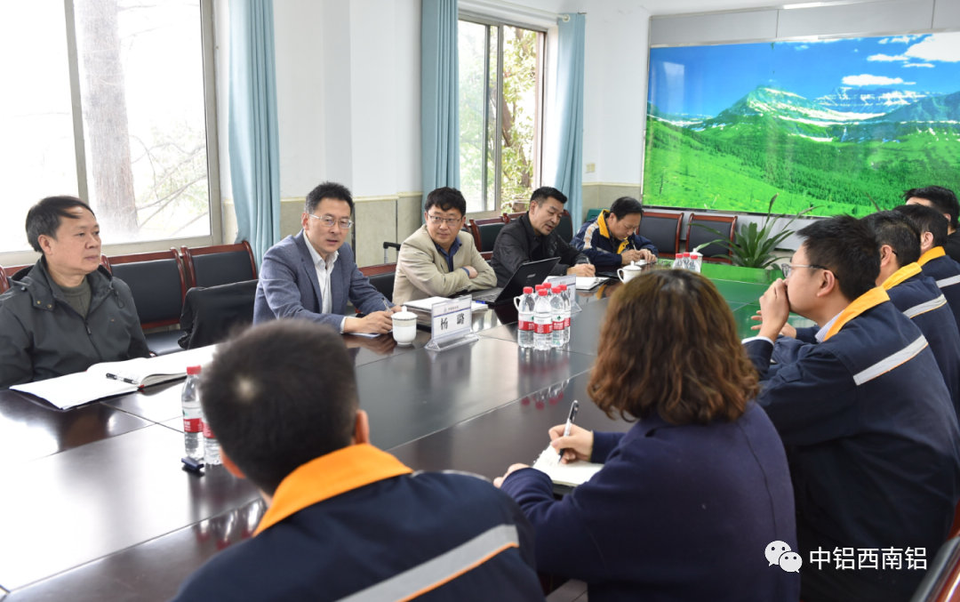 中铝西南铝杨璐会见西马克专家
