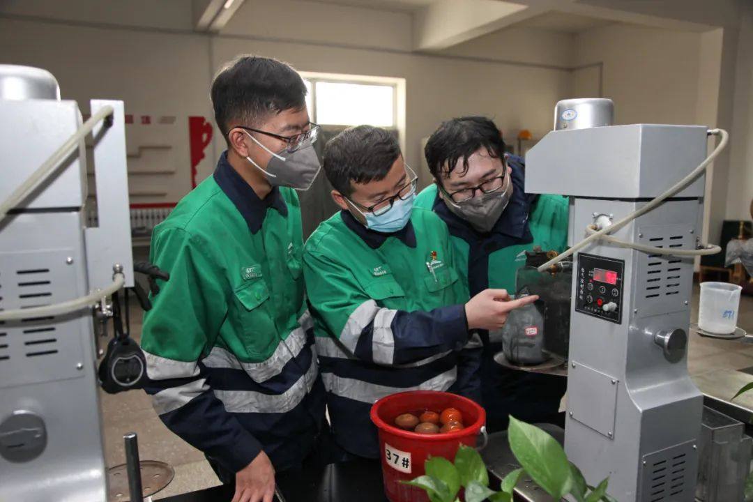 金川集团一项目成果获中国有色金属工业科学技术奖