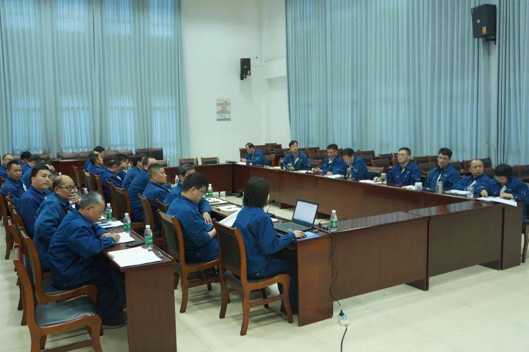 江铜铅锌公司召开专题研讨会