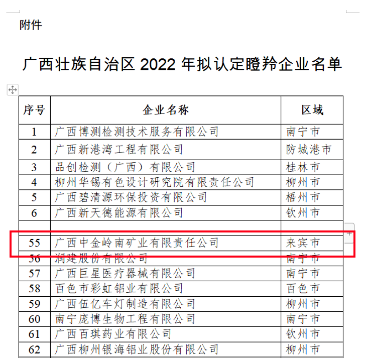中金岭南广西矿业荣获2022年度广西瞪羚企业认证
