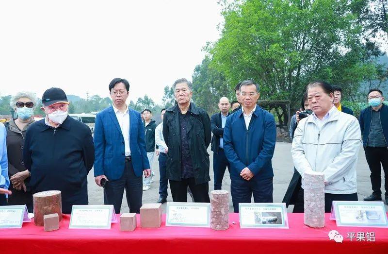 黄卫平出席广西堆积型铝土矿赤泥路用技术研究与示范应用项目评价会