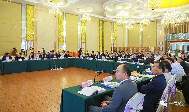 黄卫平出席广西堆积型铝土矿赤泥路用技术研究与示范应用项目评价会