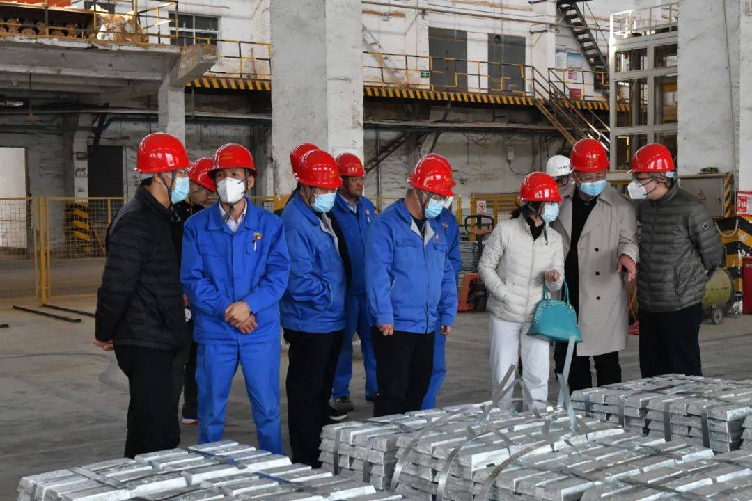 中国进出口银行高管到白银集团调研