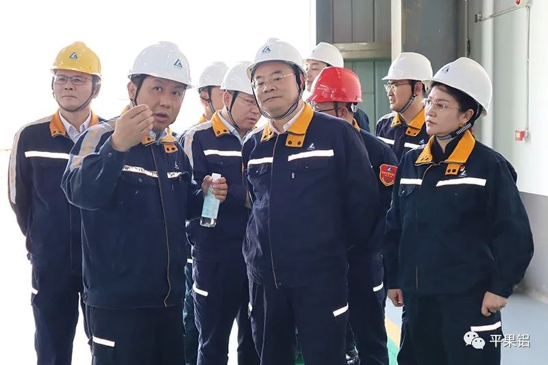 中铝集团总法律顾问胡振杰率队到平果铝企业检查验收法治央企建设工作