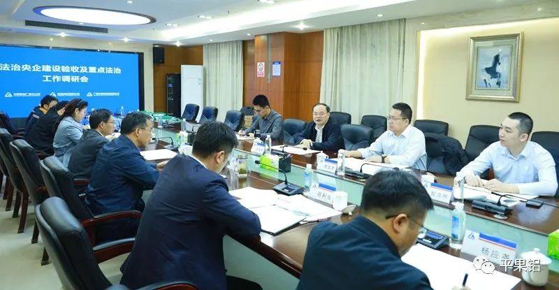中铝集团总法律顾问胡振杰率队到平果铝企业检查验收法治央企建设工作