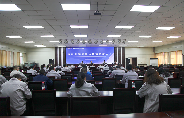 陕西美鑫公司召开2023年目标利润暨降本增效启动大会