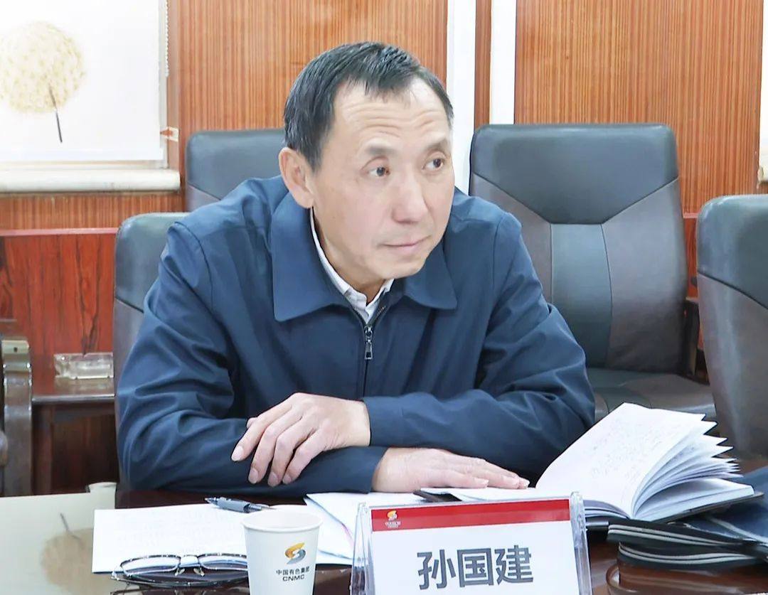 国家安全生产应急救援中心调研组到中色大冶公司调研