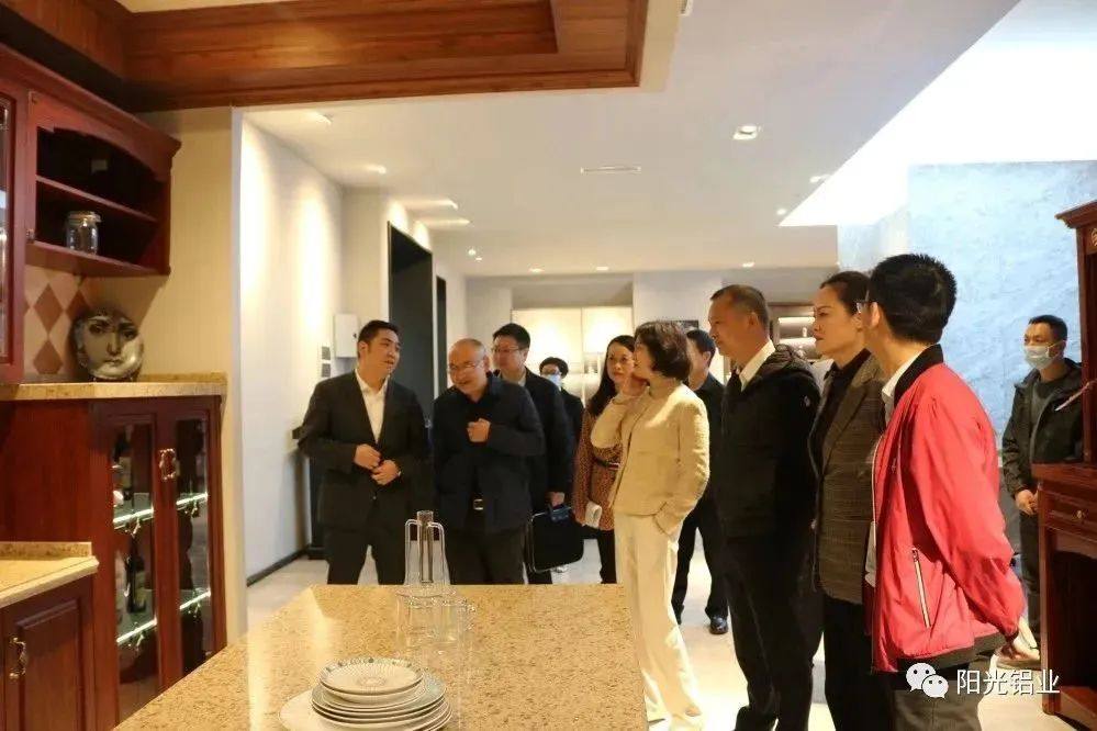 四川省民营制造业发展调研组莅临阳光铝业指导调研