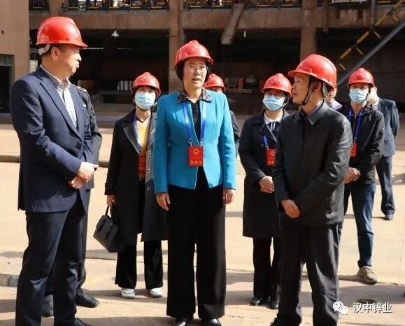 南郑区人大代表到汉中锌业特材公司开展特种设备安全管理调研