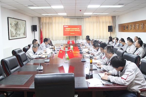 陝西美鑫公司召開2023年第2次安委會會議