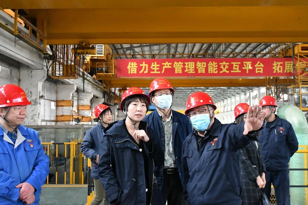 中国进出口银行高管来白银集团考察