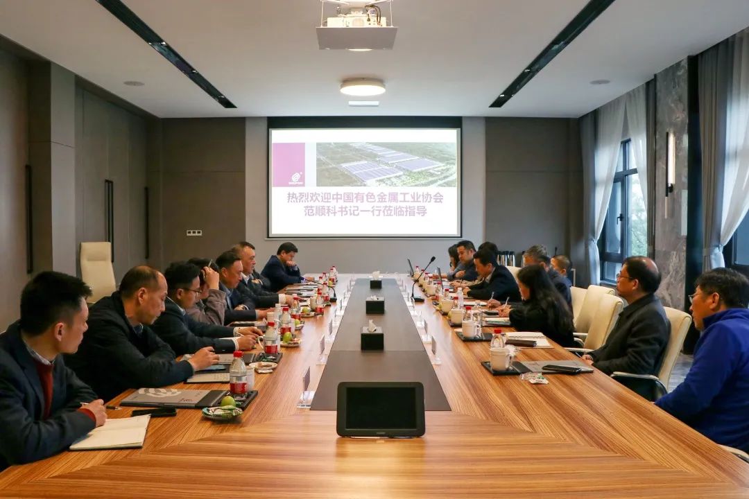 中国有色金属加工工业协会领导、上海铝协领导分别到栋梁铝业调研指导
