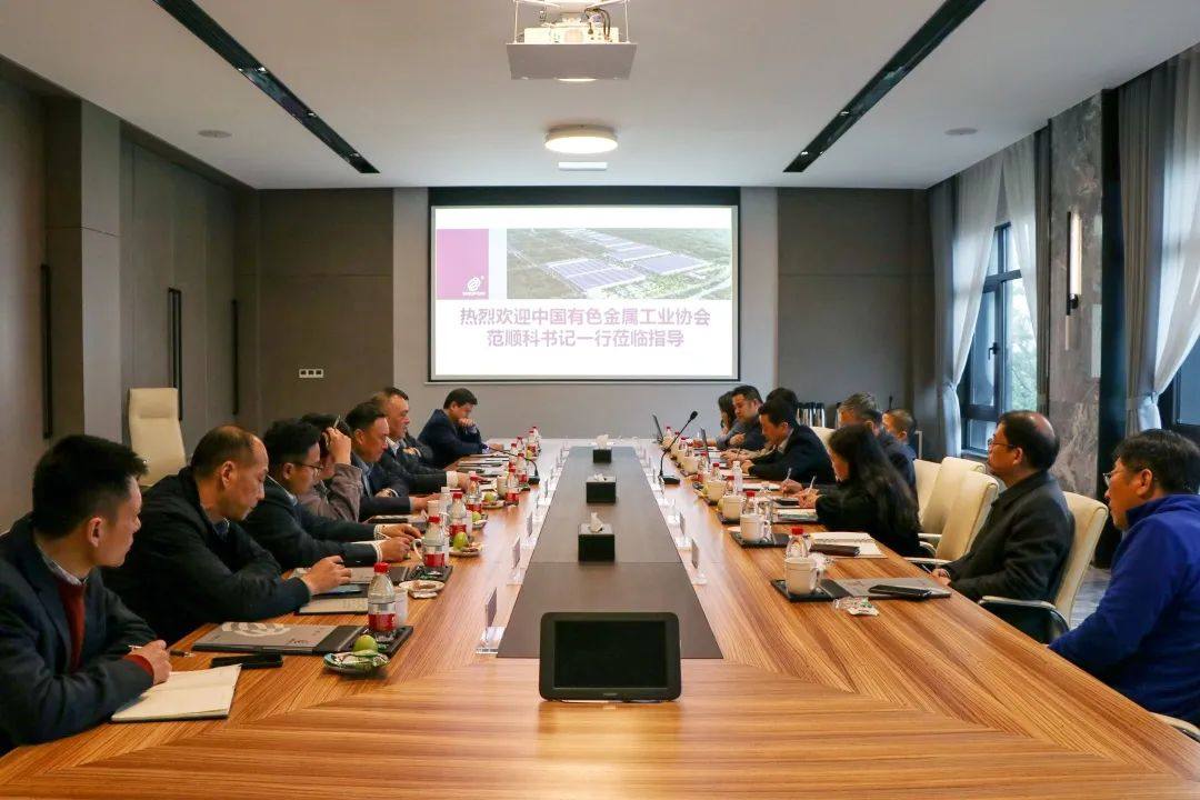 中国有色金属加工工业协会领导、上海铝协领导分别到栋梁铝业调研指导