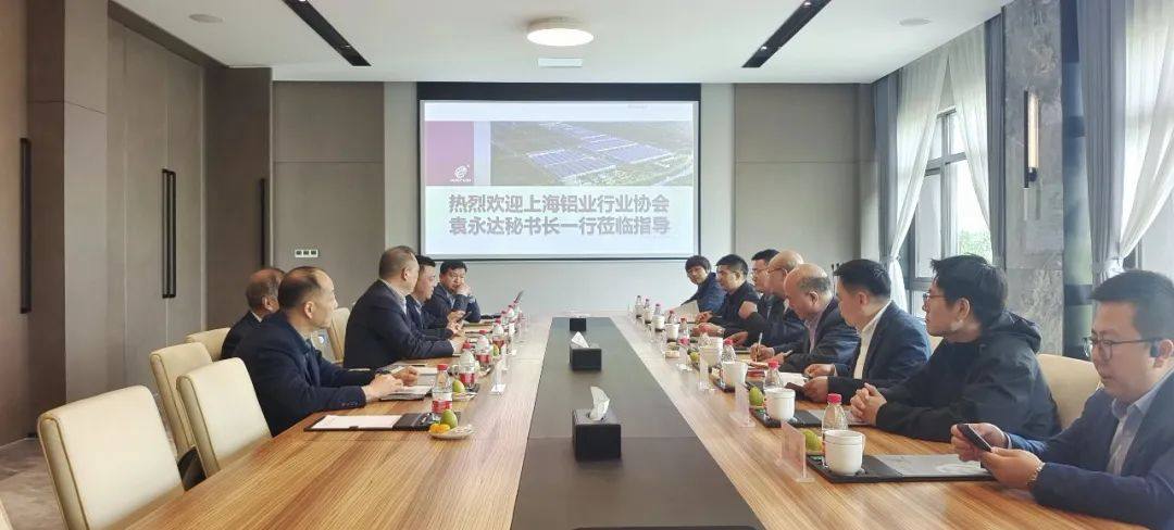 中国有色金属加工工业协会领导、上海铝协领导分别到栋梁铝业调研指导