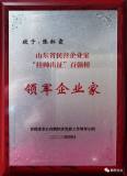 張紅霞被授予山東省民營企業家“掛帥出徵”百強榜領軍企業家