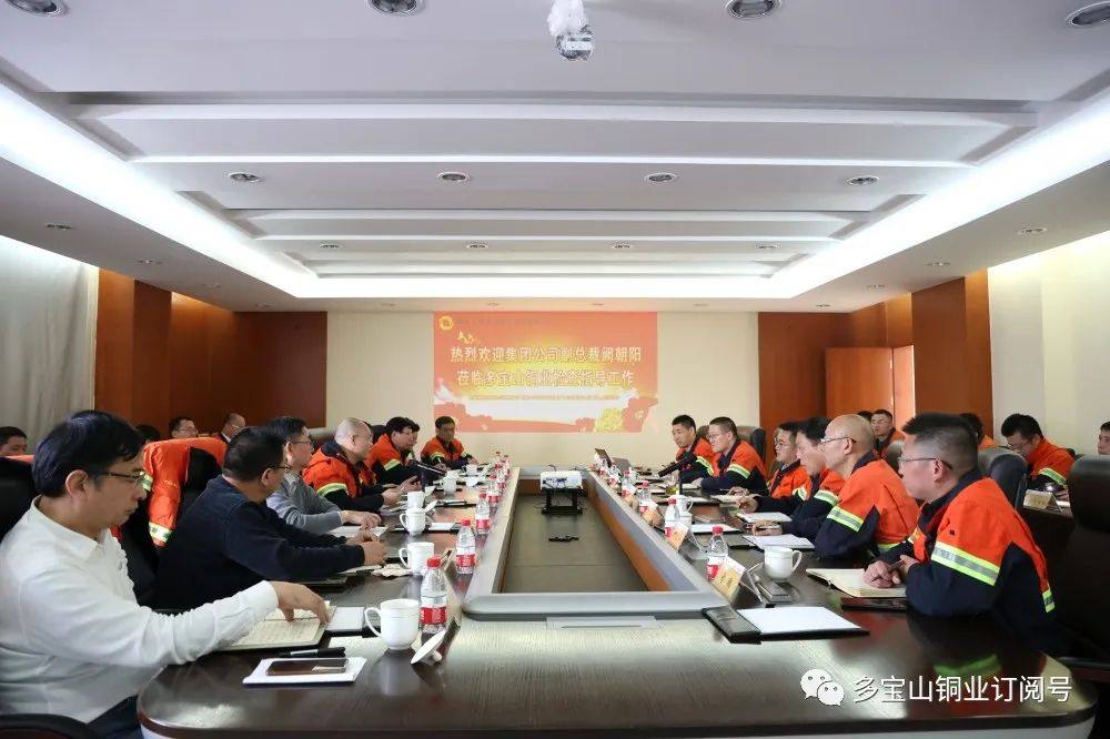 集团公司副总裁阙朝阳携专家组调研指导多宝山铜业