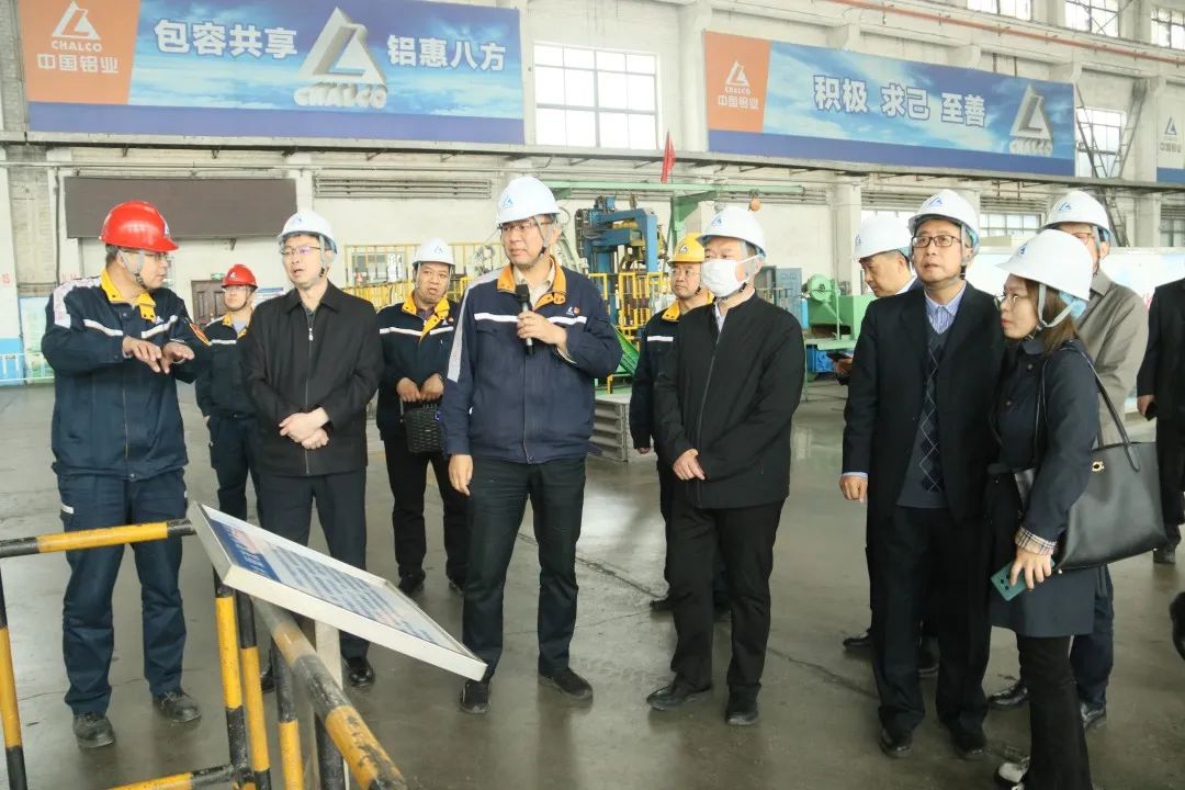 中信戴卡运营总监杨小禹 内蒙古电力副总经理黄庭祥到访包头铝业