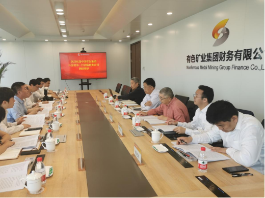 中國有色集團外部董事到湖北出資企業開展工作調研