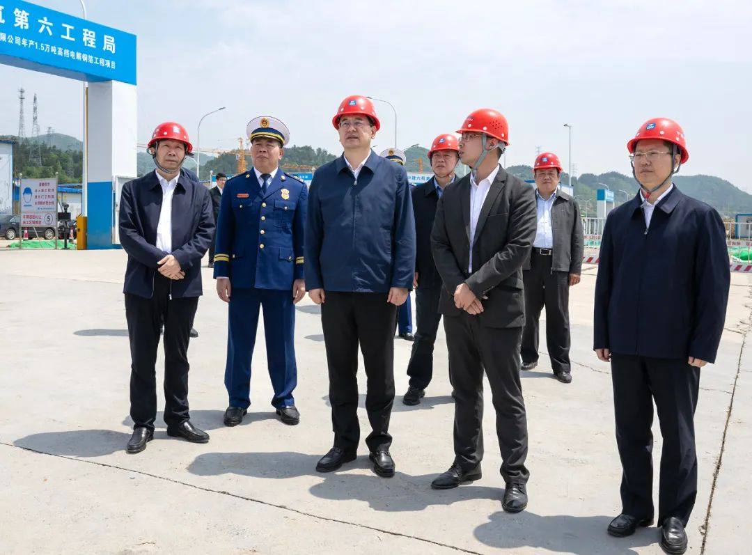 湖北省副省长盛阅春等领导一行莅临湖北诺德考察调研