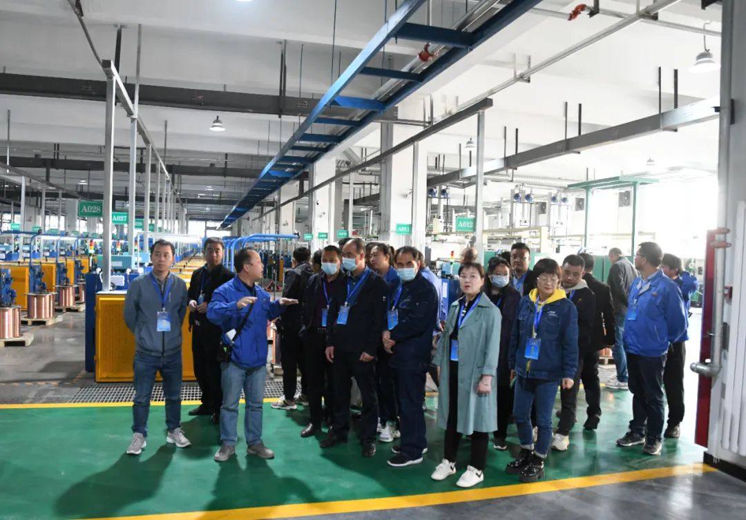 職工技術創新與強工業行動”專家和企業代表到白銀集團參觀