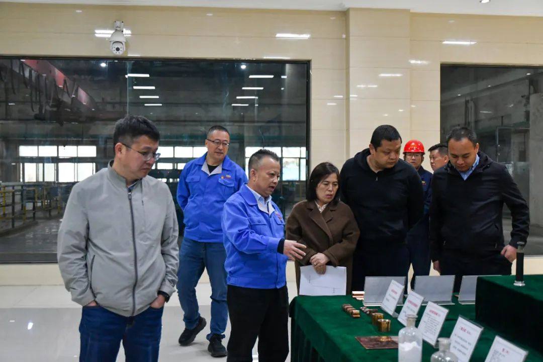 国家循环经济示范市验收调研组到白银集团调研