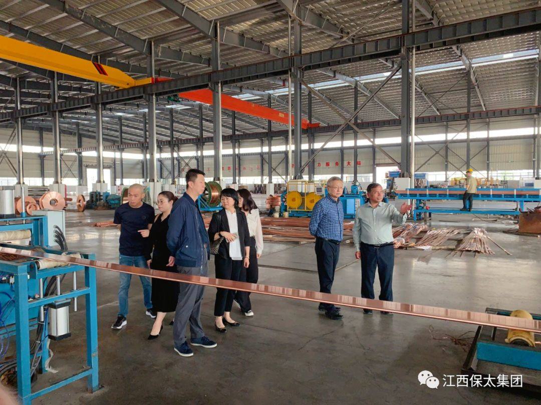 中国有色金属工业协会再生金属分会刘巍副会长一行莅临保太集团考察调研