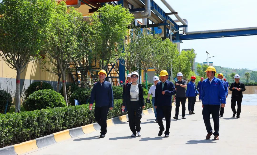 陕西锌业联合西勘院共同推进高质量发展，携手举行高质量项目启动仪式