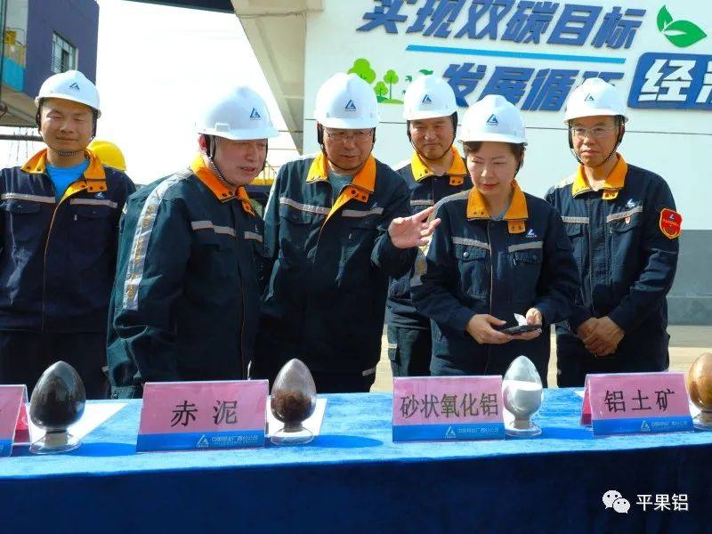 中铝股份外部董事到平果铝企业调研