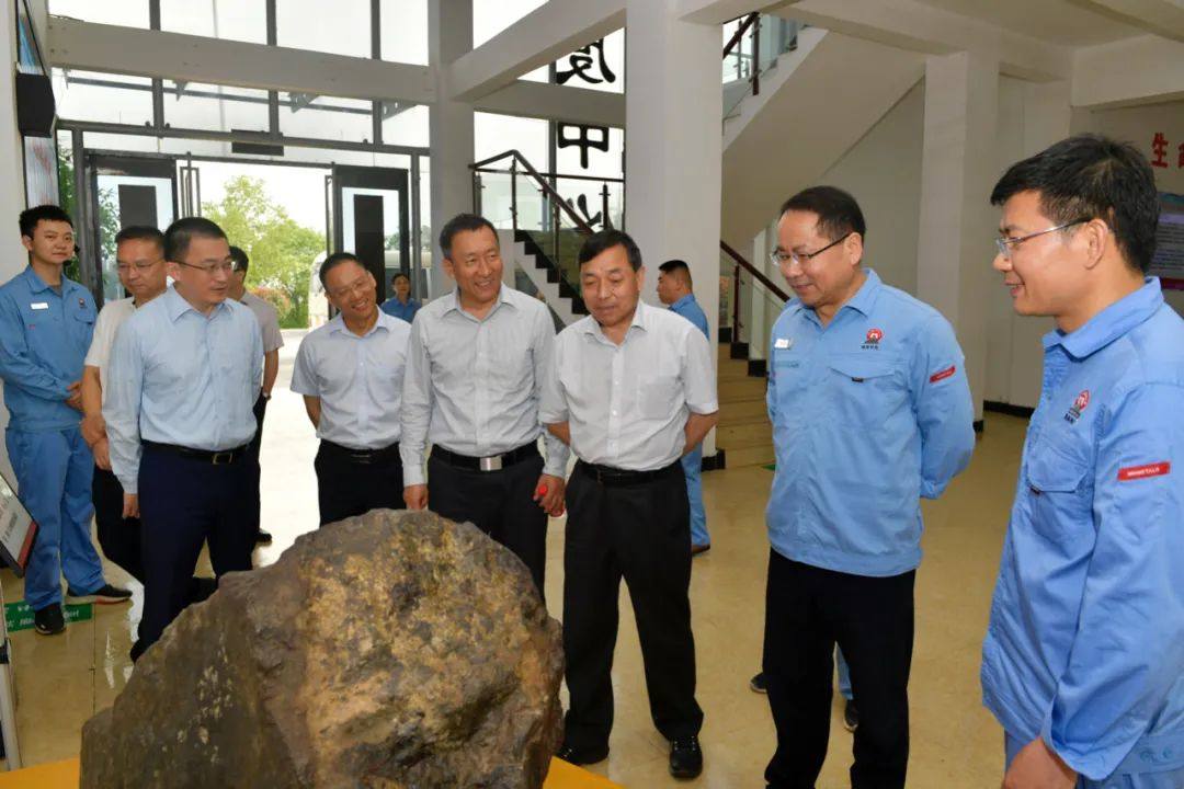 有色协会副会长王健一行到湖南有色铜铅锌基地调研