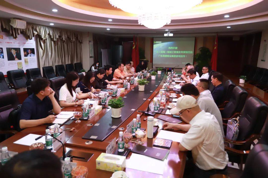 廣東（南海）鋁加工聯盟專家領導蒞臨高登鋁業參觀指導