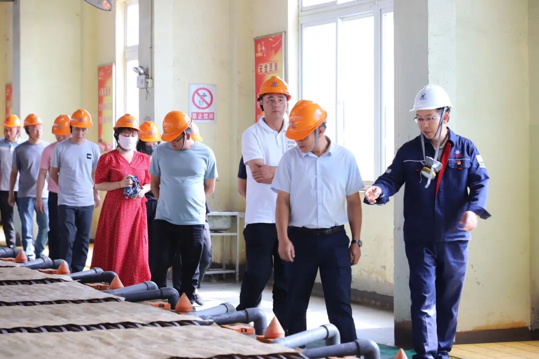 红河州第25期中青年干部培训班到云锡铜业分公司调研