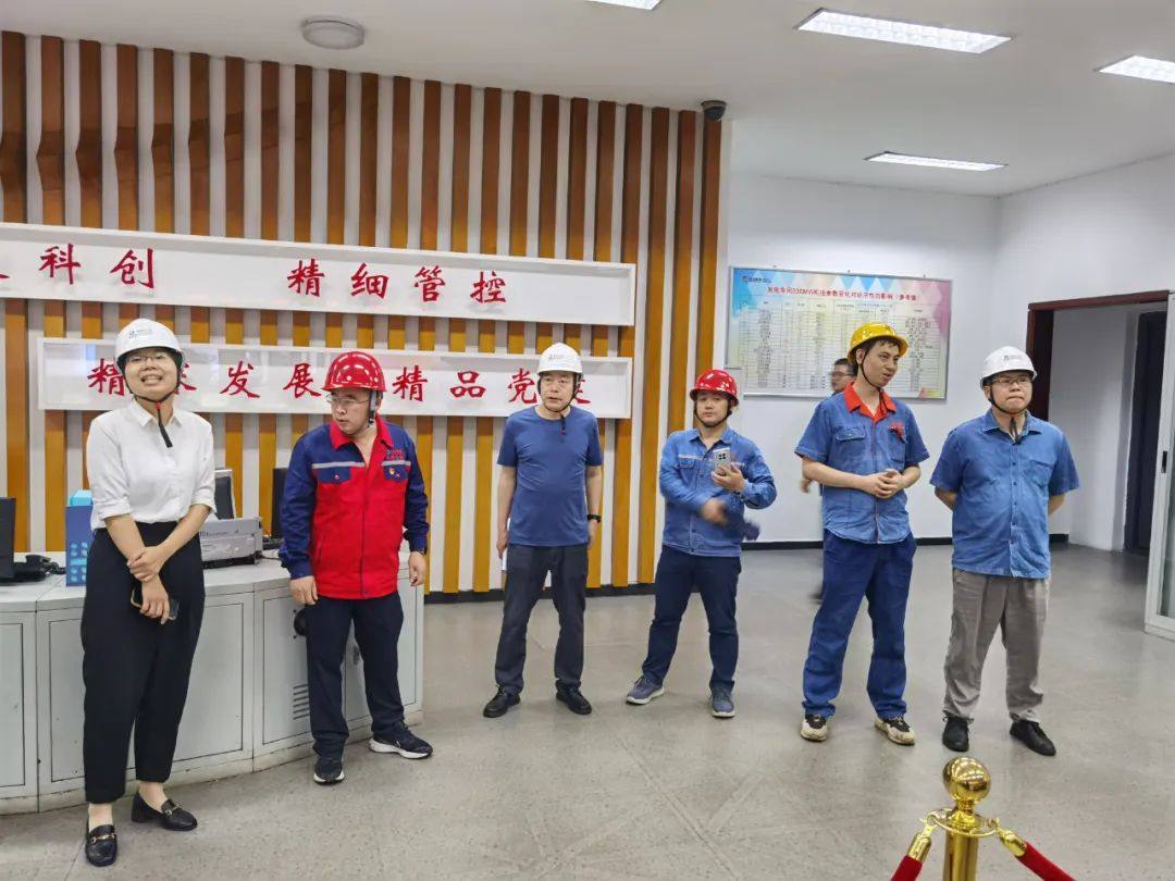 重庆市经信委火电机组“体检”专家组到旗能电铝公司检查迎峰度夏准备情况