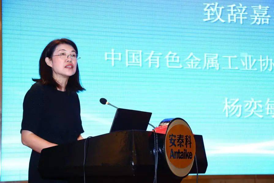 2023年（ 第十一屆） 中國錫業年會在湖南長沙隆重召開