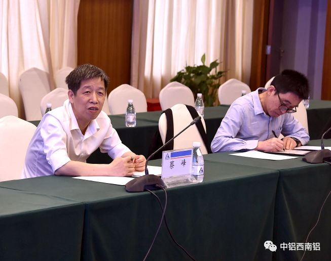 蔡峰到西南铝、中铝特材、合金化事业部开展主题教育领题调研