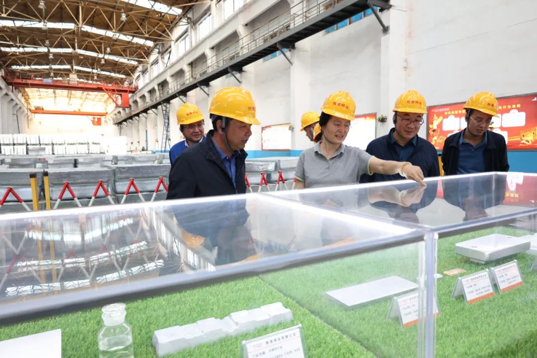 省国资委来陕西锌业公司调研高质量项目建设情况