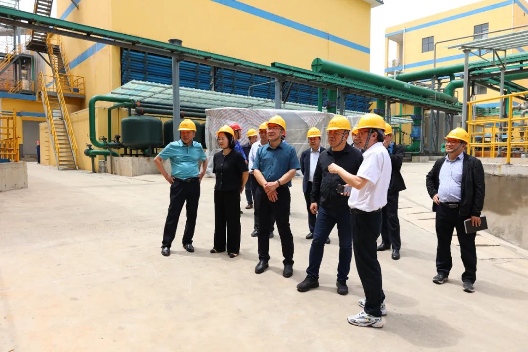 陕西有色金属集团副总经理王天雄到陕西锌业调研高质量项目建设工作