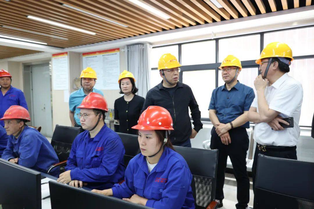 陕西有色金属集团副总经理王天雄到陕西锌业调研高质量项目建设工作
