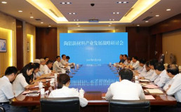 陶铝新材料产业发展战略研讨会在淮召开