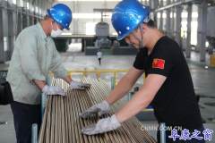 全疆首个无铅铜项目在阜康产业园正式投产