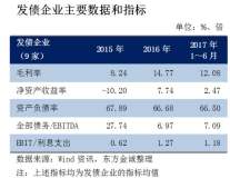 2017年上半年电解铝行业信用风险回顾与下半年展望